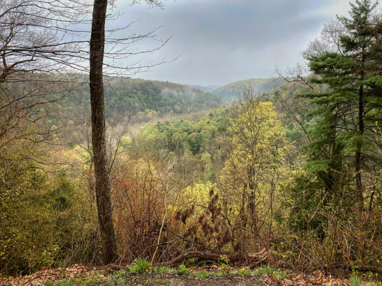 View near Mohican State Park, Ohio