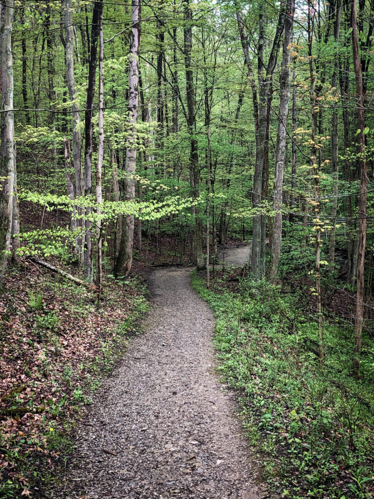 Cuyahoga Valley National Park Trail in Spring